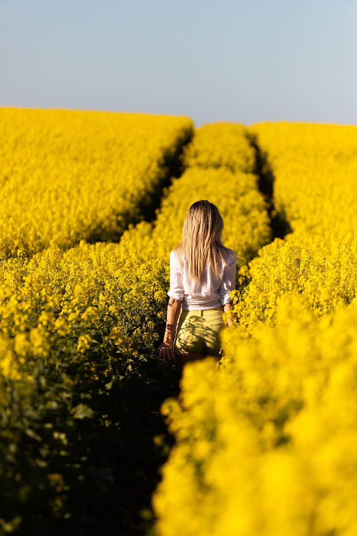 Blonde Woman among Yellow Flowers on Field
